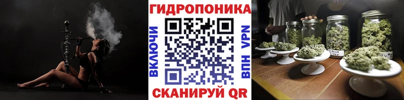 Шишки марихуана конопля Красный Кут